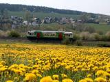 Triebwagen der Südthueringen-Bahn auf dem Weg nach Eisfeld, 30.04.2004